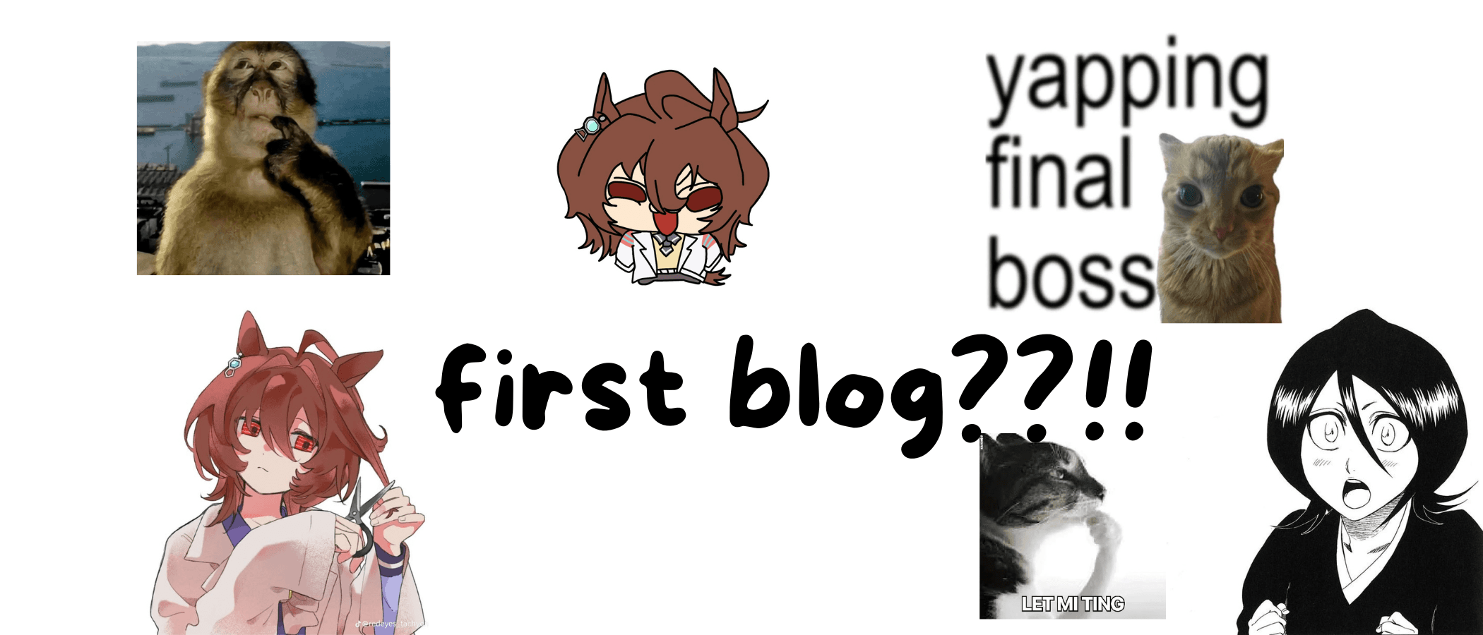 My first blog post ✨